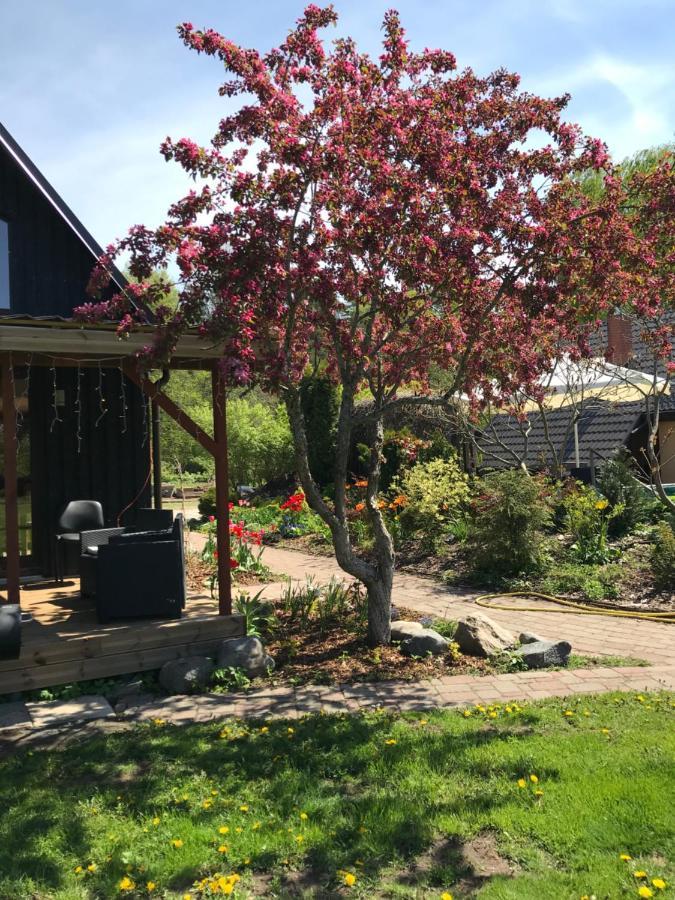 Brivdienu Maja Mierpilnai Gimenes Atputai Siltumnica Сasa de vacaciones Skulte (Limbazi)